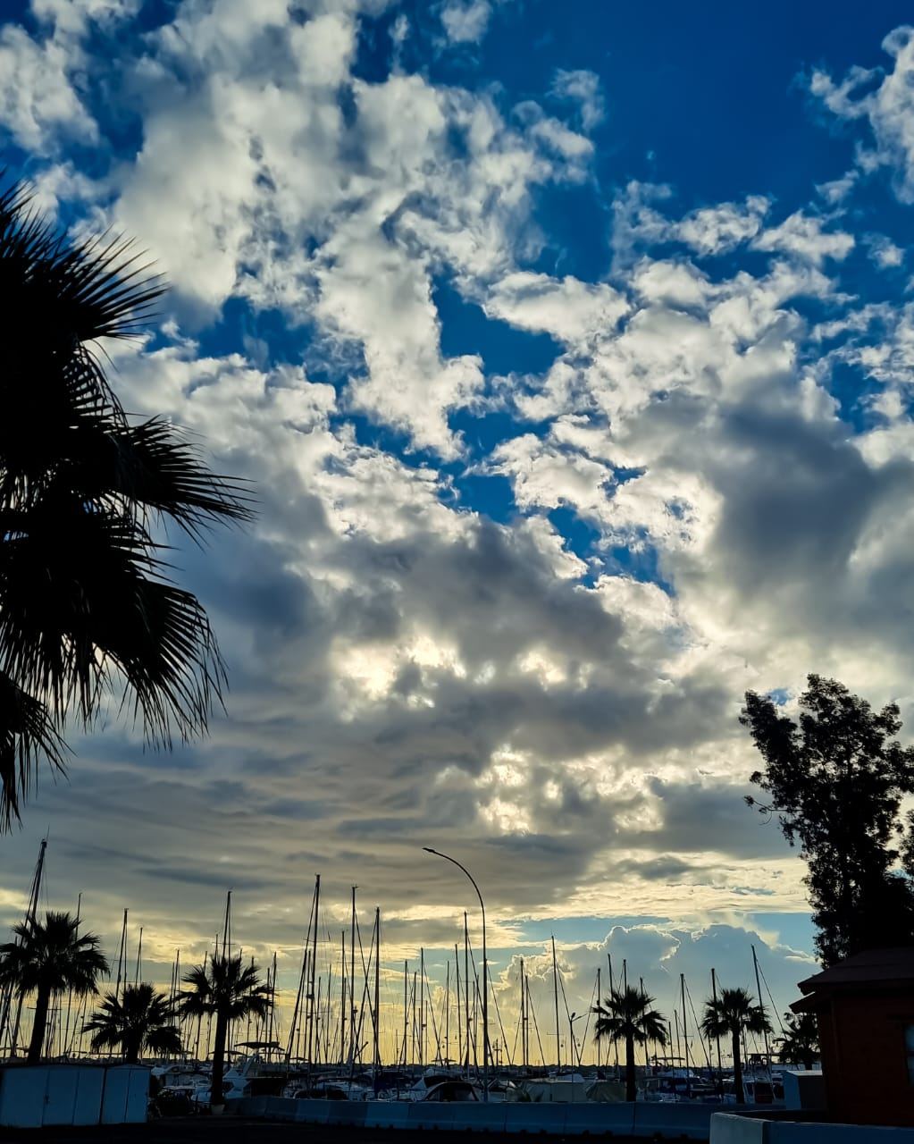 Digital arbeiten mit Meerblick auf Zypern