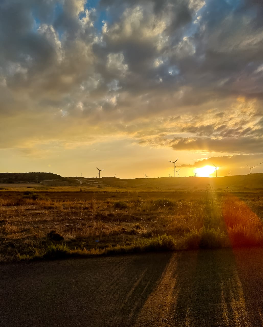 Landstraße auf Zypern bei Sonnenuntergang