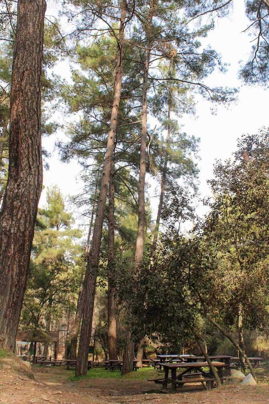 Natur und Gesundheit auf Zypern